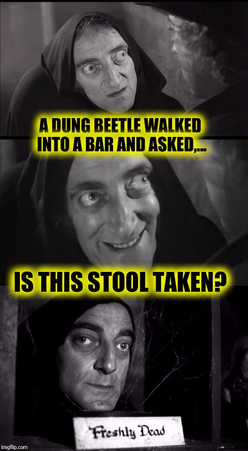 Damn Your Eyes! | A DUNG BEETLE WALKED INTO A BAR AND ASKED,... IS THIS STOOL TAKEN? | image tagged in young frankenstein | made w/ Imgflip meme maker