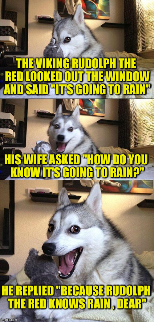 Bad Pun Dog Meme | THE VIKING RUDOLPH THE RED LOOKED OUT THE WINDOW AND SAID "IT'S GOING TO RAIN"; HIS WIFE ASKED "HOW DO YOU KNOW IT'S GOING TO RAIN?"; HE REPLIED "BECAUSE RUDOLPH THE RED KNOWS RAIN , DEAR" | image tagged in memes,bad pun dog | made w/ Imgflip meme maker