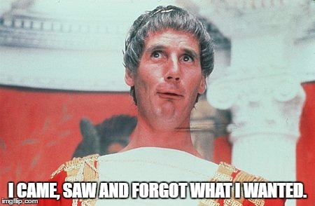 Famous quotes, part I: Caesar | I CAME, SAW AND FORGOT WHAT I WANTED. | image tagged in caesar,quotes,memes | made w/ Imgflip meme maker