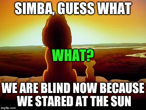 Lion King | SIMBA, GUESS WHAT; WHAT? WE ARE BLIND NOW BECAUSE WE STARED AT THE SUN | image tagged in memes,lion king | made w/ Imgflip meme maker