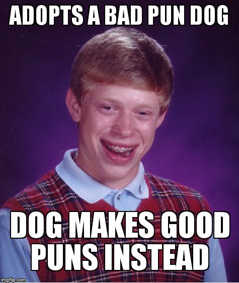 Bad Luck Brian Meme | ADOPTS A BAD PUN DOG DOG MAKES GOOD PUNS INSTEAD | image tagged in memes,bad luck brian | made w/ Imgflip meme maker