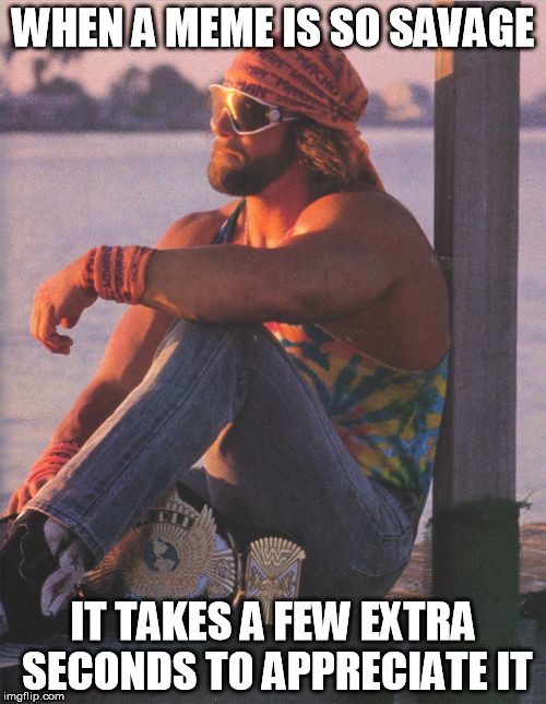 Randy Savage | WHEN A MEME IS SO SAVAGE; IT TAKES A FEW EXTRA SECONDS TO APPRECIATE IT | image tagged in randy savage | made w/ Imgflip meme maker