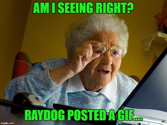 Grandma Finds The Internet Meme | AM I SEEING RIGHT? RAYDOG POSTED A GIF.... | image tagged in memes,grandma finds the internet | made w/ Imgflip meme maker
