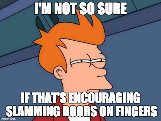 I'M NOT SO SURE IF THAT'S ENCOURAGING SLAMMING DOORS ON FINGERS | image tagged in memes,futurama fry | made w/ Imgflip meme maker