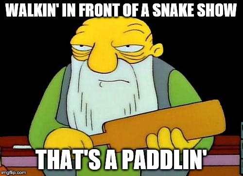 WALKIN' IN FRONT OF A SNAKE SHOW THAT'S A PADDLIN' | made w/ Imgflip meme maker
