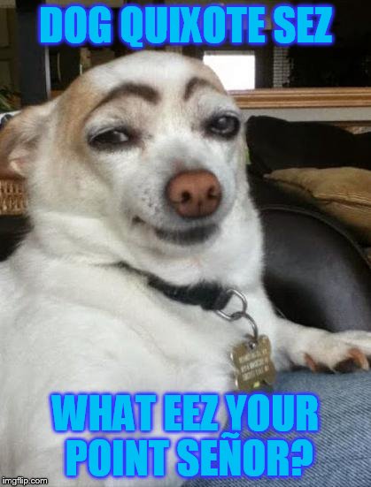 Dog Quixote sez: I do not always lick myself, but when I do, do not be envious señor. | DOG QUIXOTE SEZ; WHAT EEZ YOUR POINT SEÑOR? | image tagged in dog memes,eyebrows,hot dog,that look,chihuahua,memes | made w/ Imgflip meme maker