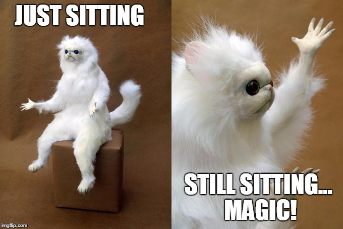 Persian Cat Room Guardian Meme | JUST SITTING; STILL SITTING... MAGIC! | image tagged in memes,persian cat room guardian | made w/ Imgflip meme maker