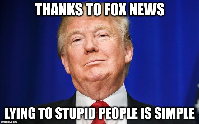 Fox News | THANKS TO FOX NEWS; LYING TO STUPID PEOPLE IS SIMPLE | image tagged in trump,fox news,stupid republicans | made w/ Imgflip meme maker