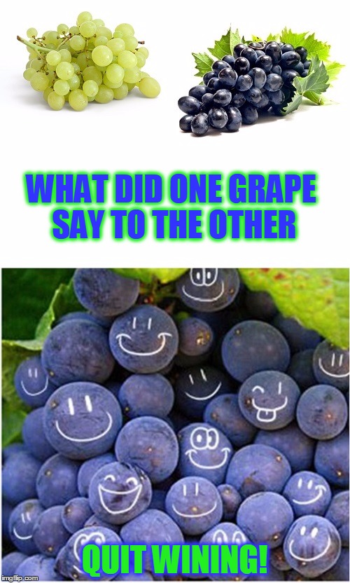 Keep It Bottled Up | WHAT DID ONE GRAPE SAY TO THE OTHER; QUIT WINING! | image tagged in meme,bad pun grapes,shabbyrose2 template,shabbyrose template,complainers | made w/ Imgflip meme maker