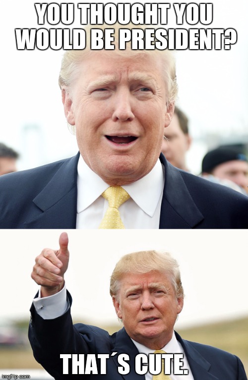 YOU THOUGHT YOU WOULD BE PRESIDENT? THAT´S CUTE. | image tagged in donald trump,presidential race,funny meme,funny,memes | made w/ Imgflip meme maker