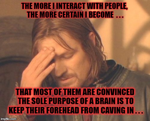 Boromir on stupidity | THE MORE I INTERACT WITH PEOPLE, THE MORE CERTAIN I BECOME  . . . THAT MOST OF THEM ARE CONVINCED THE SOLE PURPOSE OF A BRAIN IS TO KEEP THEIR FOREHEAD FROM CAVING IN . . . | image tagged in memes,frustrated boromir,stupidity | made w/ Imgflip meme maker