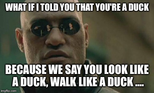Matrix Morpheus Meme | WHAT IF I TOLD YOU THAT YOU'RE A DUCK BECAUSE WE SAY YOU LOOK LIKE A DUCK, WALK LIKE A DUCK .... | image tagged in memes,matrix morpheus | made w/ Imgflip meme maker