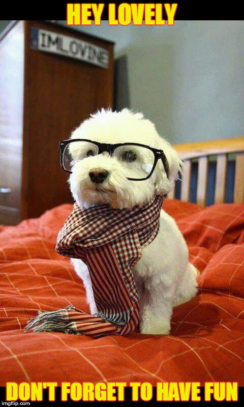 Intelligent Dog | HEY LOVELY; DON'T FORGET TO HAVE FUN | image tagged in memes,intelligent dog | made w/ Imgflip meme maker