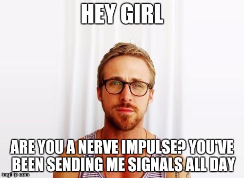 Ryan Gosling Hey Girl | HEY GIRL; ARE YOU A NERVE IMPULSE? YOU'VE BEEN SENDING ME SIGNALS ALL DAY | image tagged in ryan gosling hey girl | made w/ Imgflip meme maker