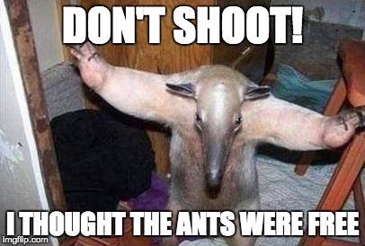 Anteater - I Got This | DON'T SHOOT! I THOUGHT THE ANTS WERE FREE | image tagged in anteater - i got this | made w/ Imgflip meme maker