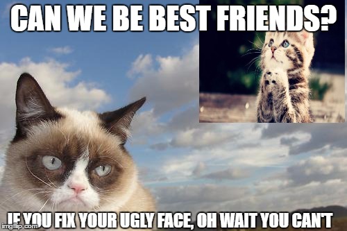 Grumpy Cat Sky Meme | CAN WE BE BEST FRIENDS? IF YOU FIX YOUR UGLY FACE, OH WAIT YOU CAN'T | image tagged in memes,grumpy cat sky,grumpy cat | made w/ Imgflip meme maker