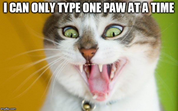 I CAN ONLY TYPE ONE PAW AT A TIME | made w/ Imgflip meme maker