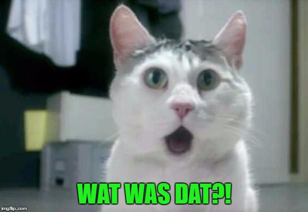 OMG Cat | WAT WAS DAT?! | image tagged in omg cat | made w/ Imgflip meme maker