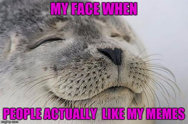 my face when | MY FACE WHEN; PEOPLE ACTUALLY  LIKE MY MEMES | image tagged in memes,satisfied seal | made w/ Imgflip meme maker