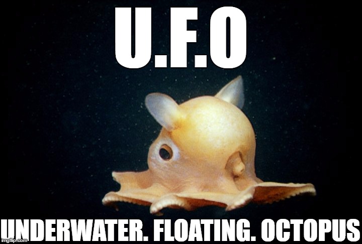 U.F.O; UNDERWATER. FLOATING. OCTOPUS | image tagged in ufo,meme,memes | made w/ Imgflip meme maker