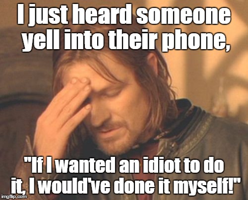 Frustrated Boromir Meme | I just heard someone yell into their phone, "If I wanted an idiot to do it, I would've done it myself!" | image tagged in memes,frustrated boromir,funny meme,phone | made w/ Imgflip meme maker