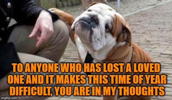 The Holidays Can Be A Difficult Time Of Year | TO ANYONE WHO HAS LOST A LOVED ONE AND IT MAKES THIS TIME OF YEAR DIFFICULT, YOU ARE IN MY THOUGHTS | image tagged in there there dog,you're in my thoughts,you can make it though,stay positive,remember the good times | made w/ Imgflip meme maker