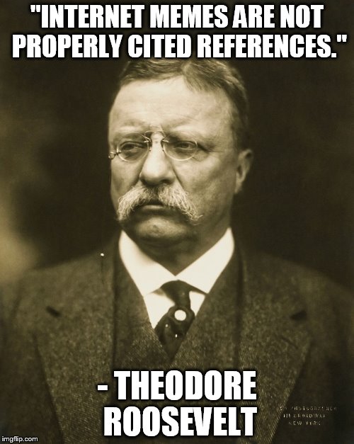 Photo + Quote = Deception | "INTERNET MEMES ARE NOT PROPERLY CITED REFERENCES."; - THEODORE ROOSEVELT | image tagged in teddy roosevelt | made w/ Imgflip meme maker