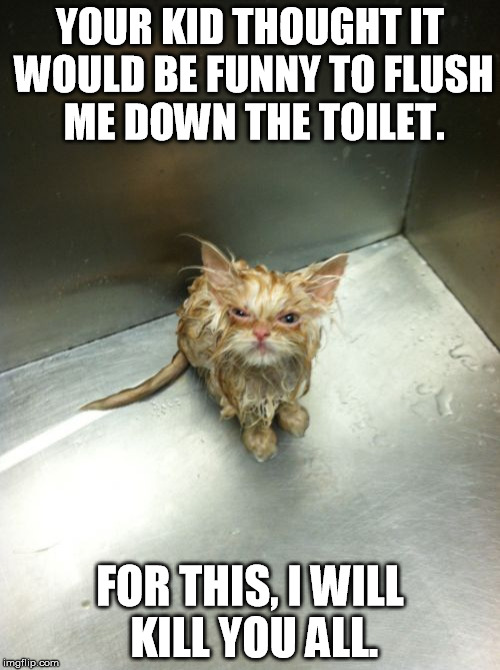 Kill You Cat | YOUR KID THOUGHT IT WOULD BE FUNNY TO FLUSH ME DOWN THE TOILET. FOR THIS, I WILL KILL YOU ALL. | image tagged in memes,kill you cat | made w/ Imgflip meme maker