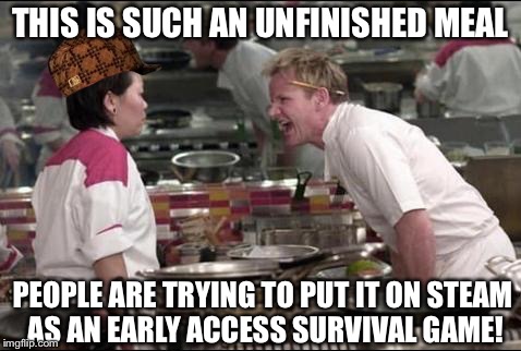 Angry Chef Gordon Ramsay | THIS IS SUCH AN UNFINISHED MEAL; PEOPLE ARE TRYING TO PUT IT ON STEAM AS AN EARLY ACCESS SURVIVAL GAME! | image tagged in memes,angry chef gordon ramsay,scumbag | made w/ Imgflip meme maker