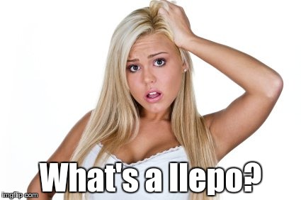 Dumb Blonde | What's a llepo? | image tagged in dumb blonde | made w/ Imgflip meme maker