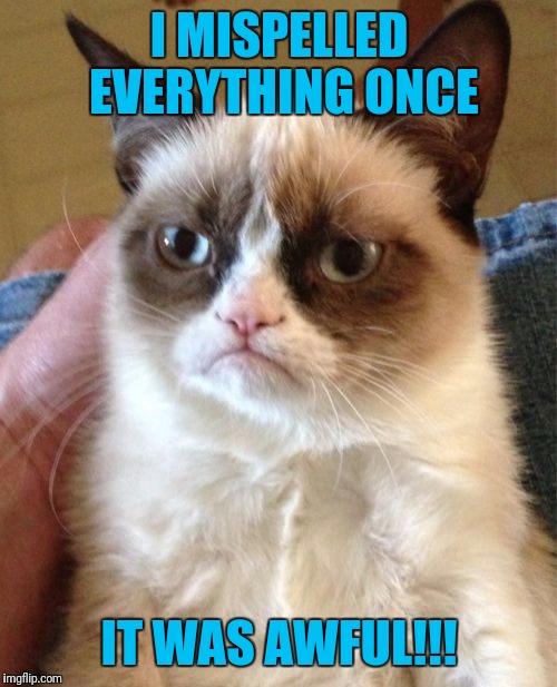 I MISPELLED EVERYTHING ONCE IT WAS AWFUL!!! | image tagged in memes,grumpy cat | made w/ Imgflip meme maker