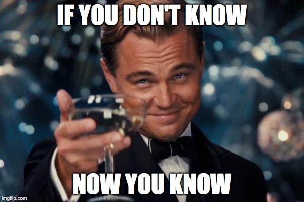 Leonardo Dicaprio Cheers Meme | IF YOU DON'T KNOW; NOW YOU KNOW | image tagged in memes,leonardo dicaprio cheers | made w/ Imgflip meme maker