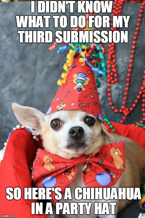 Have a great day everyone! | I DIDN'T KNOW WHAT TO DO FOR MY THIRD SUBMISSION; SO HERE'S A CHIHUAHUA IN A PARTY HAT | image tagged in memes,chihuahua,party | made w/ Imgflip meme maker