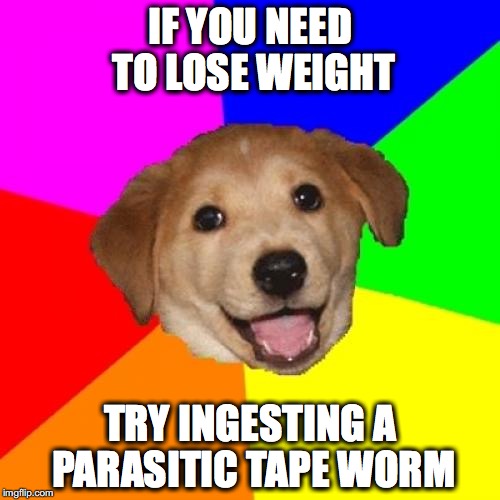 Advice Dog | IF YOU NEED TO LOSE WEIGHT; TRY INGESTING A PARASITIC TAPE WORM | image tagged in memes,advice dog | made w/ Imgflip meme maker
