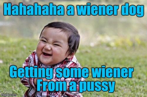 Evil Toddler Meme | Hahahaha a wiener dog Getting some wiener From a pussy | image tagged in memes,evil toddler | made w/ Imgflip meme maker