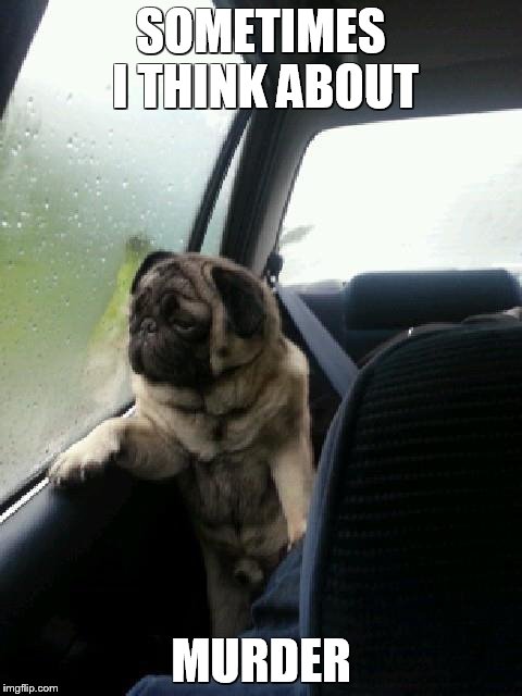 Vicious Pugs | SOMETIMES I THINK ABOUT; MURDER | image tagged in introspective pug,funny memes,deep thoughts,murder | made w/ Imgflip meme maker