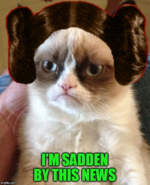 Grumpy Cat Meme | I'M SADDEN BY THIS NEWS | image tagged in memes,grumpy cat | made w/ Imgflip meme maker