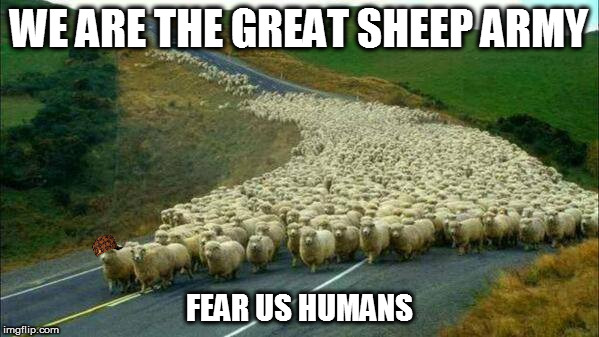 This is how the 1st sheep war begins | WE ARE THE GREAT SHEEP ARMY; FEAR US HUMANS | image tagged in scumbag,sheep,army | made w/ Imgflip meme maker