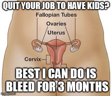 QUIT YOUR JOB TO HAVE KIDS? BEST I CAN DO IS BLEED FOR 3 MONTHS | image tagged in scumbaguterus | made w/ Imgflip meme maker
