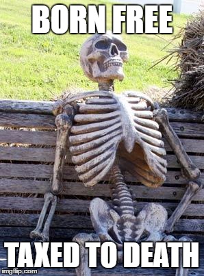 Waiting Skeleton | BORN FREE; TAXED TO DEATH | image tagged in memes,waiting skeleton | made w/ Imgflip meme maker