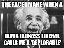 Al' Knows All | THE FACE I MAKE WHEN A; DUMB JACKASS LIBERAL CALLS ME A 'DEPLORABLE' | image tagged in crookedhillary,hillbilly | made w/ Imgflip meme maker