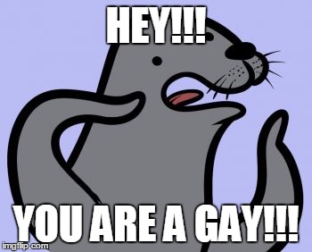 Homophobic Seal | HEY!!! YOU ARE A GAY!!! | image tagged in memes,homophobic seal | made w/ Imgflip meme maker