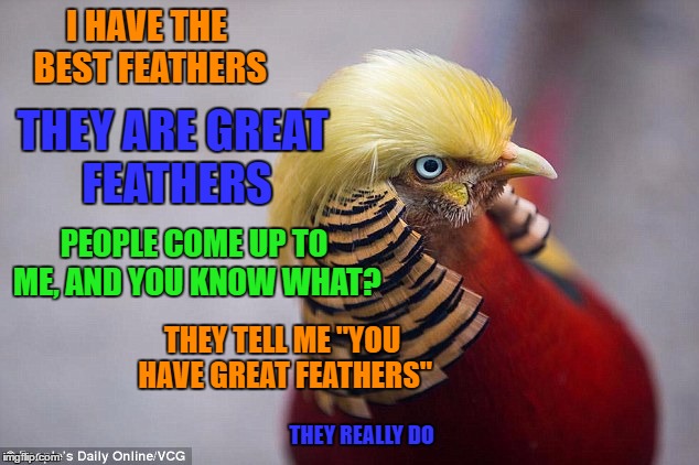 The "Pheasadent Elect" | I HAVE THE BEST FEATHERS; THEY ARE GREAT FEATHERS; PEOPLE COME UP TO ME, AND YOU KNOW WHAT? THEY TELL ME "YOU HAVE GREAT FEATHERS"; THEY REALLY DO | image tagged in donald trump,lynch1979,lol,memes | made w/ Imgflip meme maker
