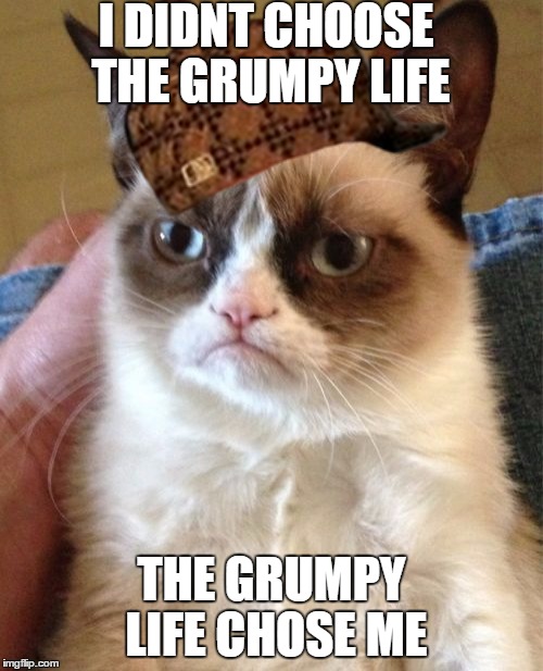 Grumpy Cat | I DIDNT CHOOSE THE GRUMPY LIFE; THE GRUMPY LIFE CHOSE ME | image tagged in memes,grumpy cat,scumbag | made w/ Imgflip meme maker