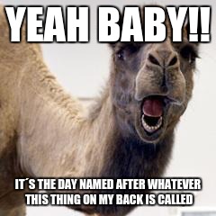 Any Guesses On What Day It Is? | YEAH BABY!! IT´S THE DAY NAMED AFTER WHATEVER THIS THING ON MY BACK IS CALLED | image tagged in camel | made w/ Imgflip meme maker