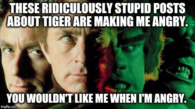 Incredible Hulk Angry About Tiger Woods | THESE RIDICULOUSLY STUPID POSTS ABOUT TIGER ARE MAKING ME ANGRY. YOU WOULDN'T LIKE ME WHEN I'M ANGRY. | image tagged in incredible hulk,tiger woods,golf channel,pga tour,pga,golf | made w/ Imgflip meme maker