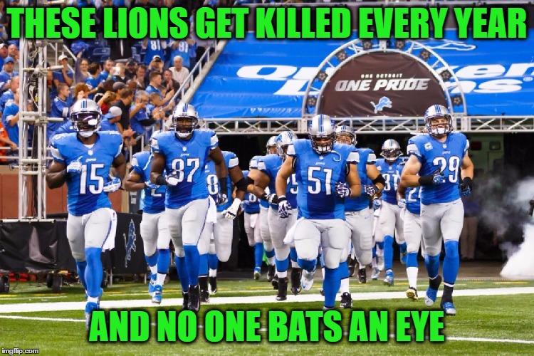 THESE LIONS GET KILLED EVERY YEAR AND NO ONE BATS AN EYE | made w/ Imgflip meme maker