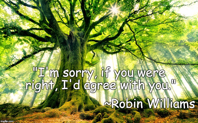 Truthy Trees | "I'm sorry, if you were right, I'd agree with you."; ~Robin Williams | image tagged in robin williams,right,wrong,agree,sorry | made w/ Imgflip meme maker