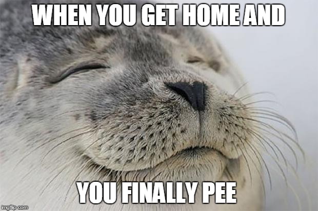 Satisfied Seal | WHEN YOU GET HOME AND; YOU FINALLY PEE | image tagged in memes,satisfied seal | made w/ Imgflip meme maker