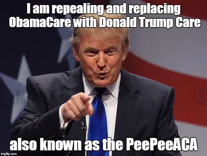 PeePeeACA | I am repealing and replacing ObamaCare with Donald Trump Care; also known as the PeePeeACA | image tagged in donald trump,ppaca,trumpcare,trump care | made w/ Imgflip meme maker